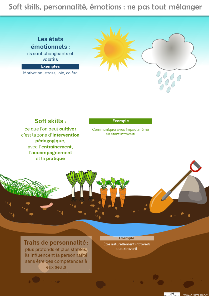 Différence entre état émotionnel, soft skills et traits de personnalité